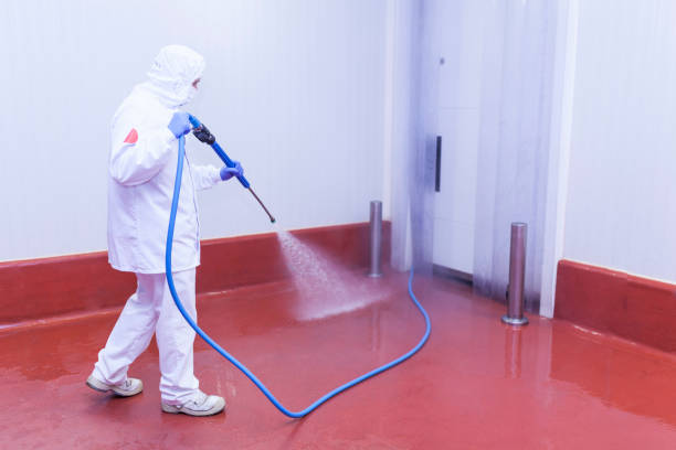 Paint Preparation in Cedar Lake, IN