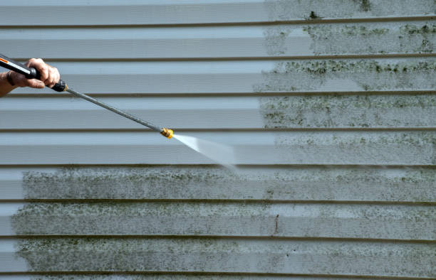 Solar Panel Cleaning in Cedar Lake, IN